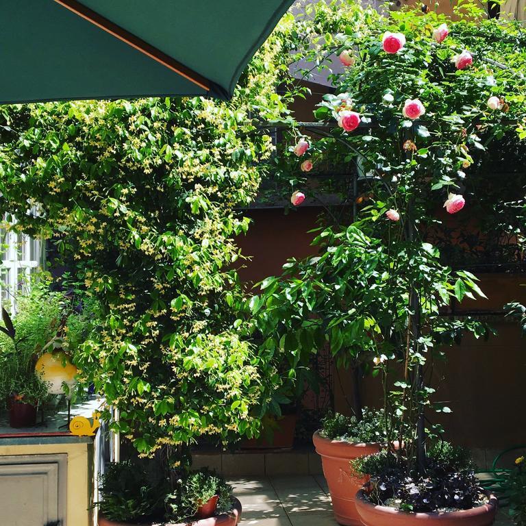 Viadelloca35 Daire Roma Dış mekan fotoğraf